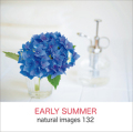 naturalimages Vol.132 EARLY SUMMER〈静物〉