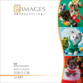 匠IMAGES Vol.037 歳時の写真素材 四季の子猫