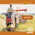 MIXA Vol.275 H̎Y _ƕ