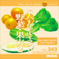 MIXA Vol.343 スーパーリアルイラスト 野菜・果実２